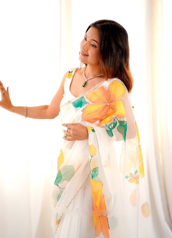 Elegant Pastel Multi Organza Silk Ready-to-Wear Saree with Floral Print & Handwork