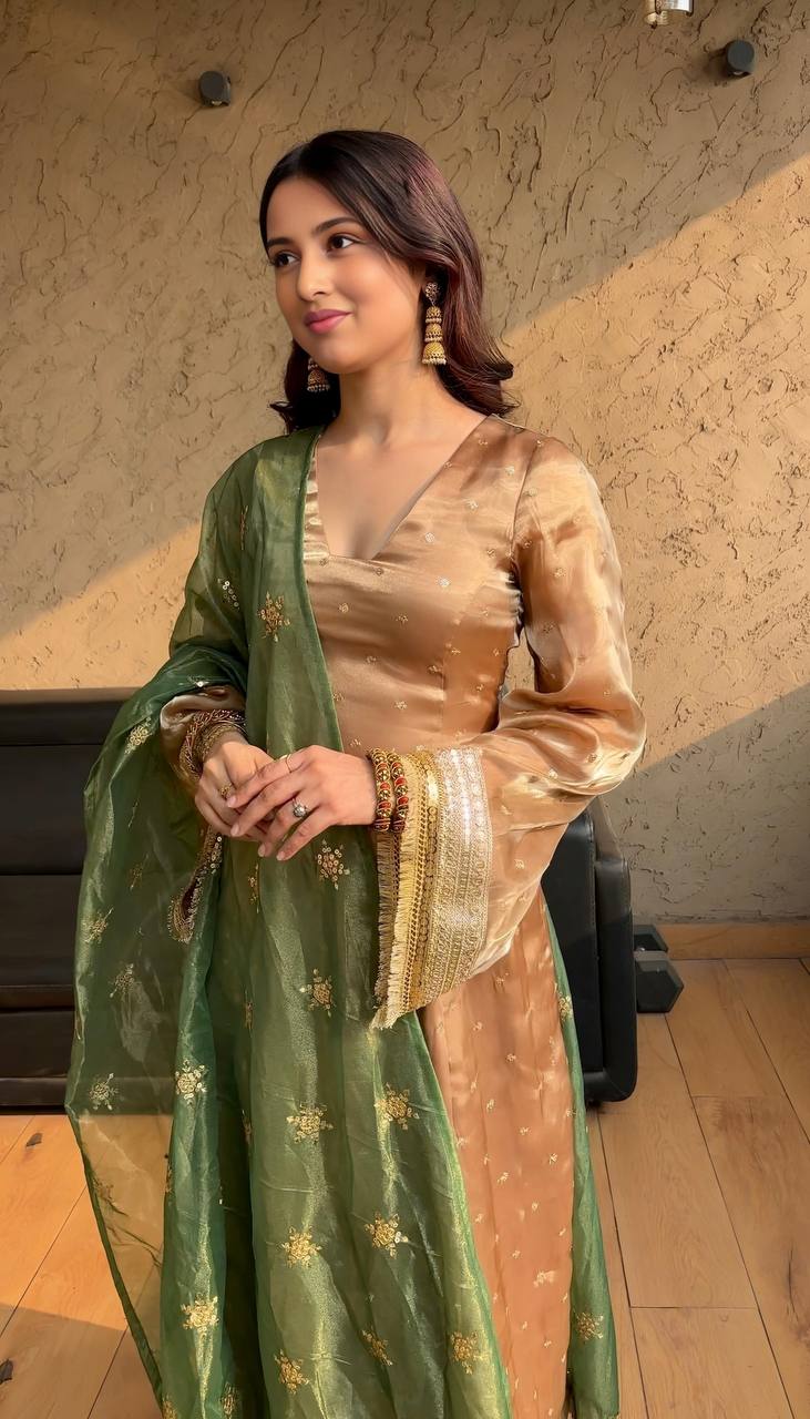 Glossy Embroidered Work Chiku Color Salwar Suit With  Dupatta