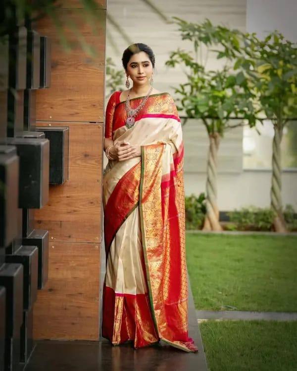Classic Banarasi Charm with a Modern Touch