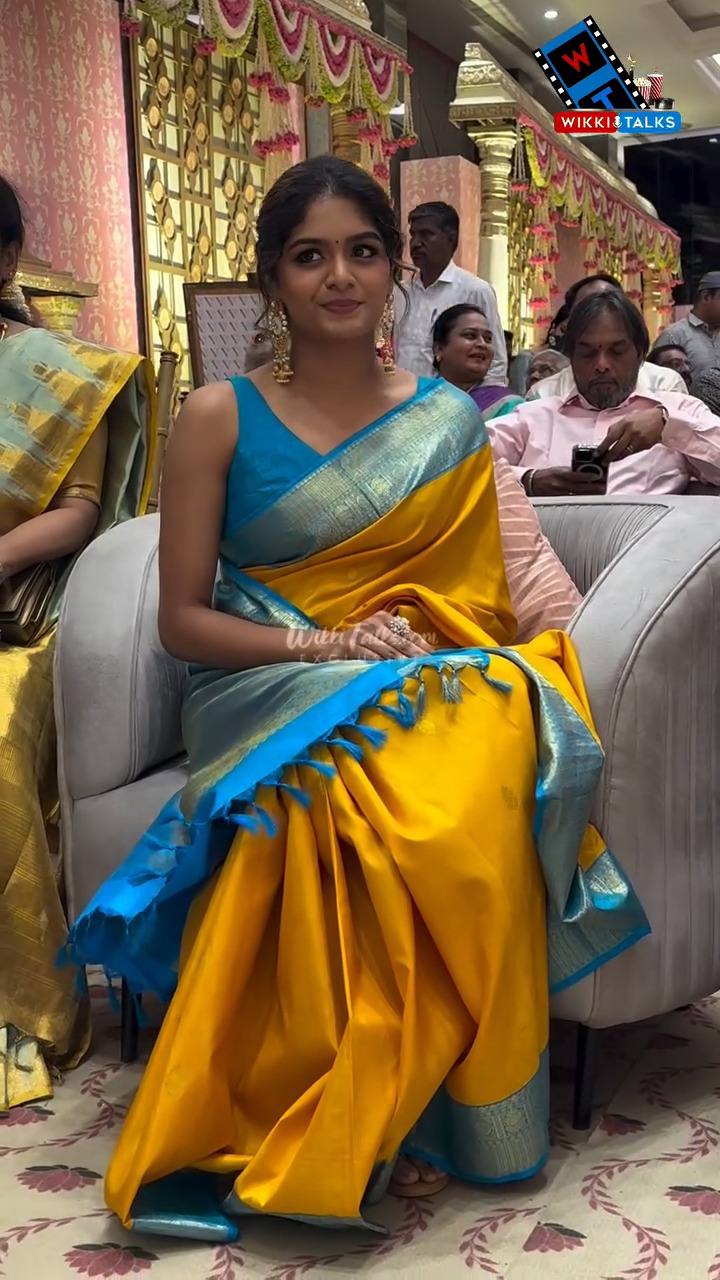 Classic Lichi Silk Saree with Beautiful Rich Pallu